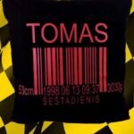 Pagalvėlė "Gimimo metrikai"