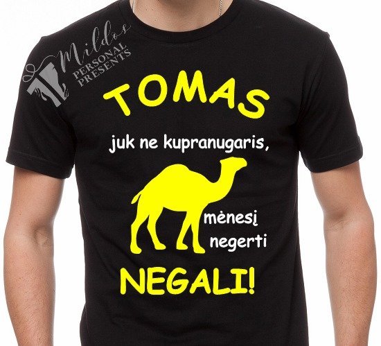 64328299_1184964385006879_90921386754703360_n.jpg Marškinėliai "Ne kupranugaris" - Image 1