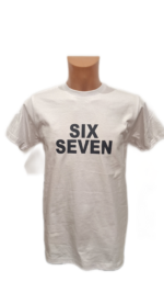 Vaikiški marškinėliai "Six seven (anglų k.)"